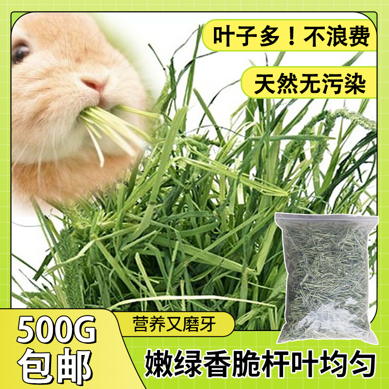 2024年晒干新北提摩西牧草：宠物磨牙新宠，成幼兔子龙猫荷兰猪豚仓鼠的营养盛宴！