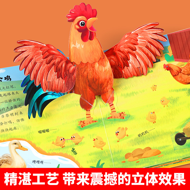 探秘南海诸岛，宋盛宪带你走进奇妙的海洋生物世界