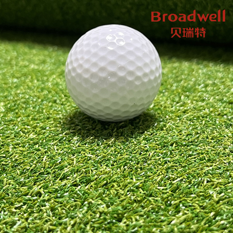 高尔夫草坪的秘密武器：果岭草快速级，园艺装饰草柔软草，可定制草皮，打造完美绿茵场！