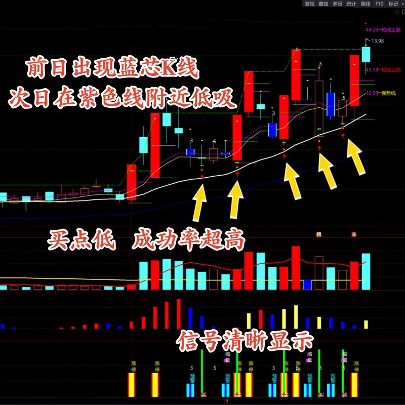 Newsela账号全解锁英语新闻分级阅读带quiz：开启高效学习新纪元