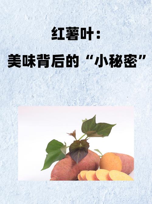 美味背后的故事