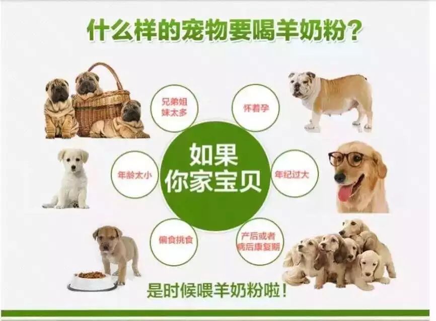 宠物临期羊奶粉拆罐散5斤包邮便宜处理，宠物营养大补仓！