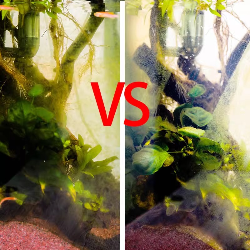 软镜子贴墙自粘鱼缸水族箱鱼照镜子：打造梦幻光影空间，让鱼儿也享受生活！