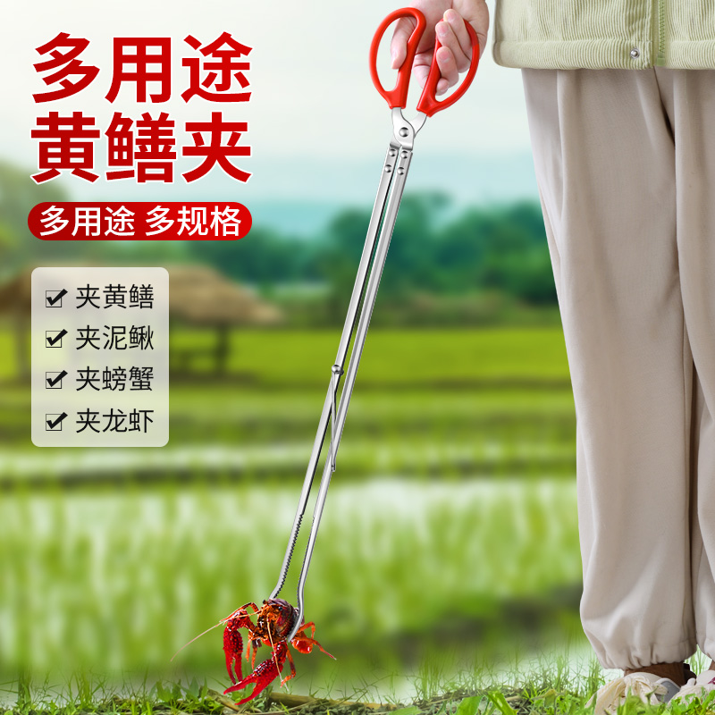 夹鳝鱼大法好！掌握黄鳝夹钳技巧，轻松控鱼抓泥鳅全攻略！