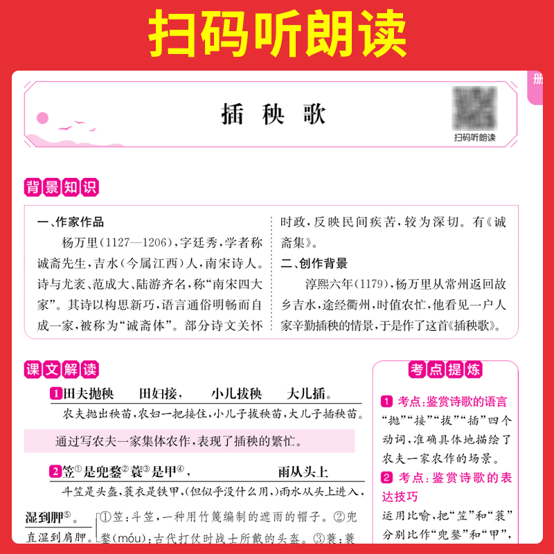 2025版安徽专版中考文言文一本通：助你轻松应对中考文言文难题
