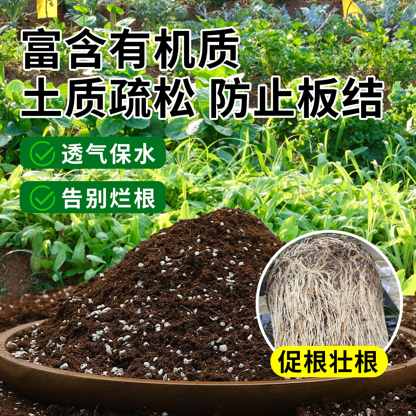 水稻催芽机半自动型NL-200型（2025改进款）：让种植变得轻松愉快！