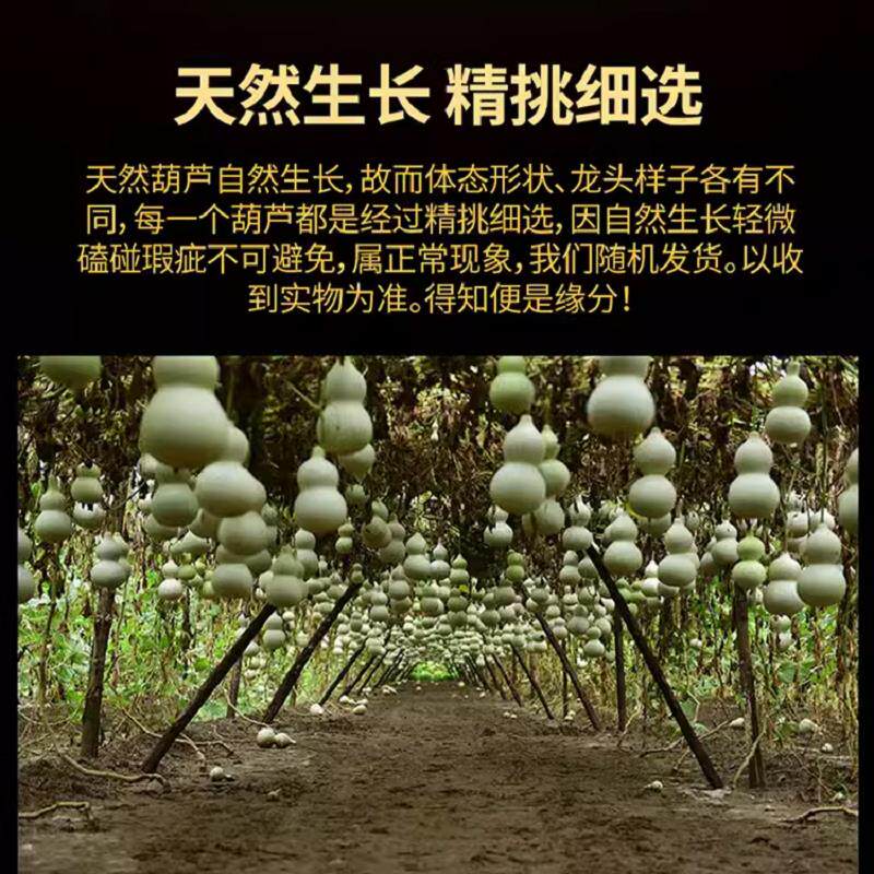 如何选择合适的纯天然野生红色葫芦中国结？