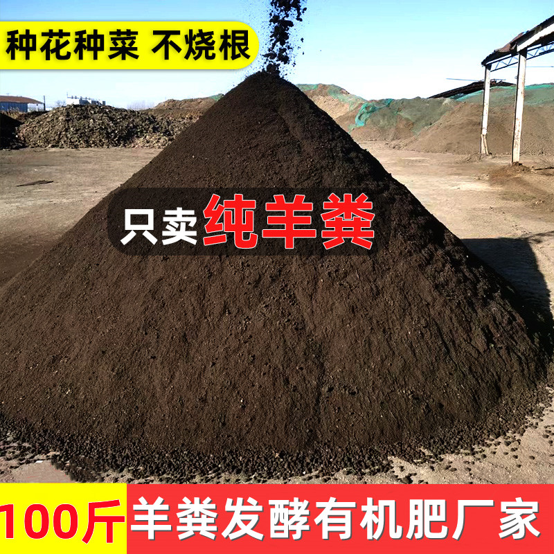 羊粪发酵肥：花卉盆栽的秘密武器，内蒙古100斤农家肥种菜新潮流！