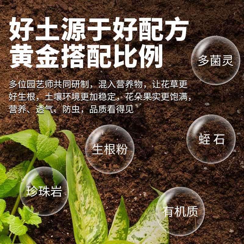 披碱草与伙伴们：固土防风沙的绿色卫士