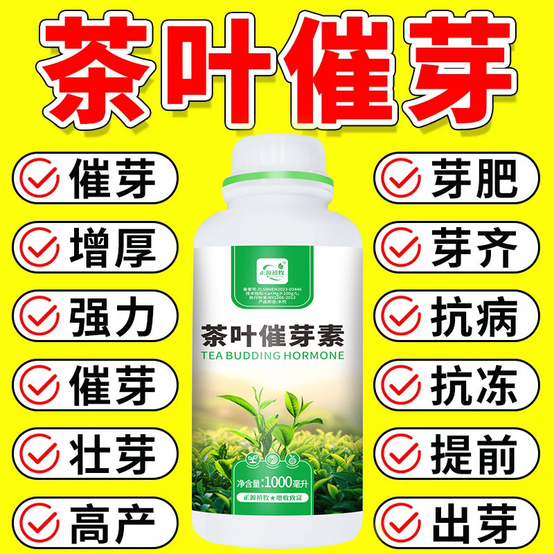 茶叶叶面肥催芽剂：催芽王强力催芽，让新芽暴发，茶叶树提前发芽增产的秘密武器！