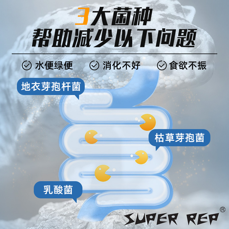 SuperRep爬宠BAC益生菌：解决爬宠肠胃问题的秘密武器
