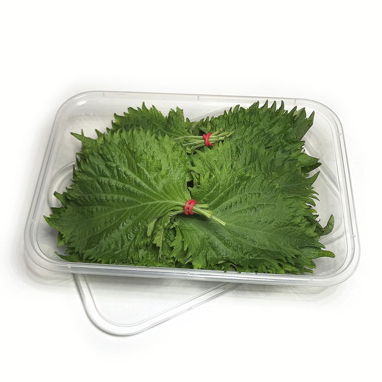 四川新鲜苏子叶：解锁美食新吃法，让你大呼过瘾！️