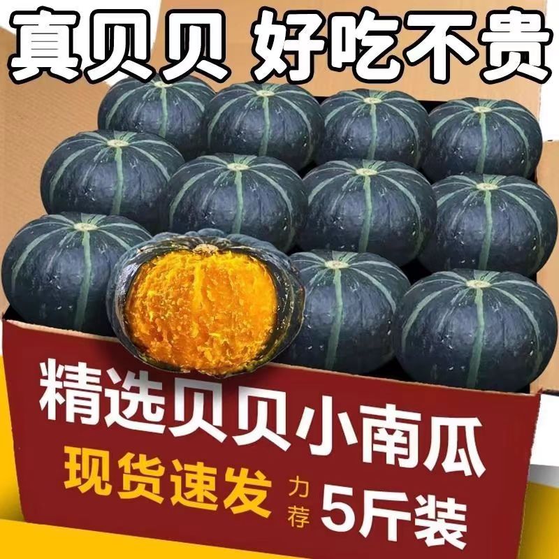山东贝贝南瓜：正宗板栗味，宝宝辅食新选择！