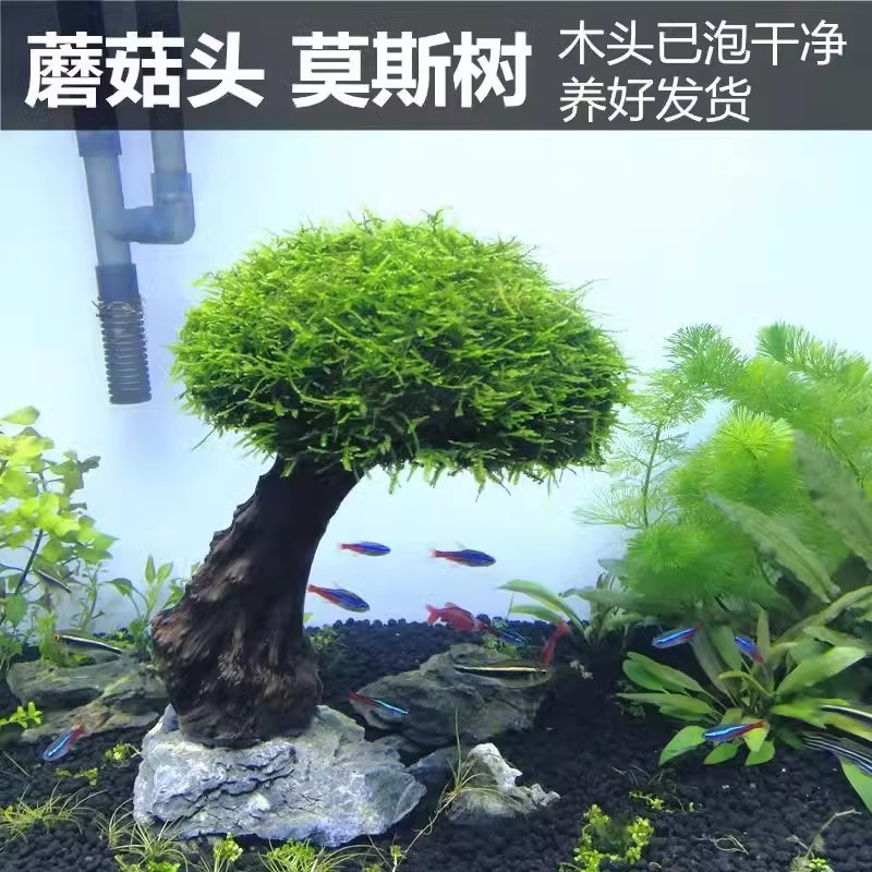 闲鱼上怎么买货的流程？新手必看！从0到1超详细攻略