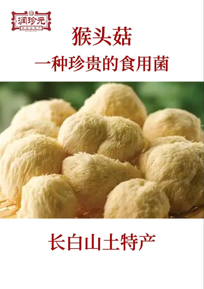 猴头菇,菌中之王的美味与营养