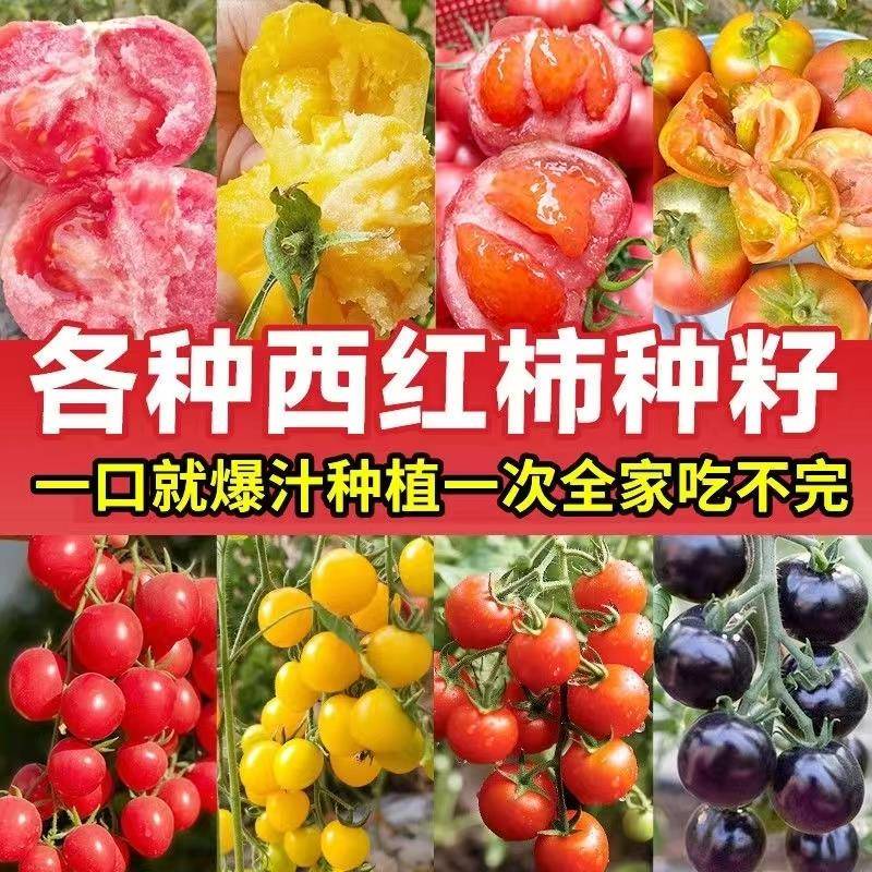 巧克力瀑布斜塔：甜品界的梦幻之作，一口即融化的心！