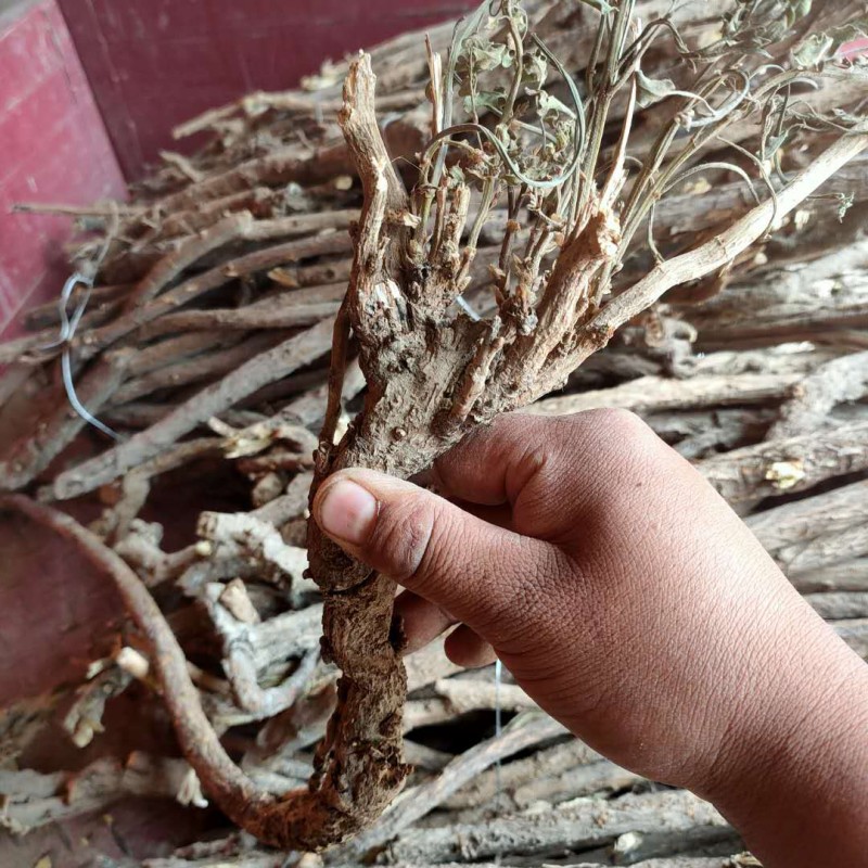中药材斜片甘草片：纯天然生甘草，泡水好物，500克包邮，你还在等什么？