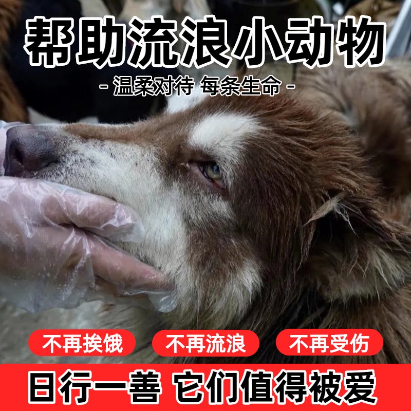 【淘宝公益】爱心传递，电子明信片助力流浪动物救助！