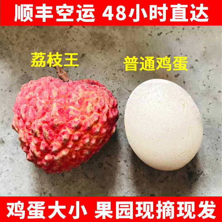 海南火山岩荔枝真的甜到爆！5斤冰冻新鲜大果，吃一次就上瘾