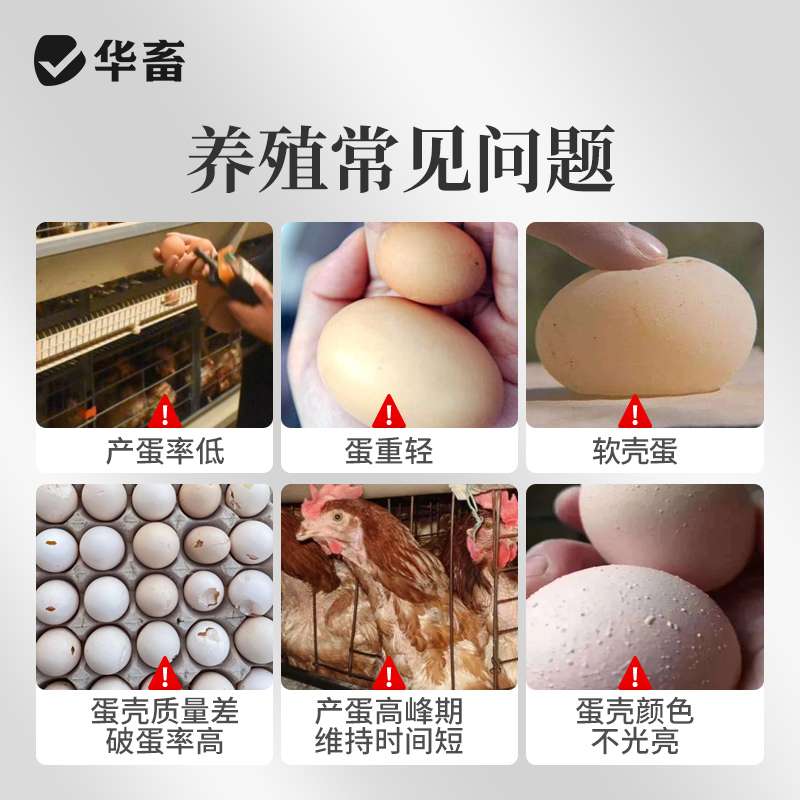 美德宝蛋肉鸡饲料预混料：高效促生长，抗病力强，蛋大壳厚，延长蛋期！