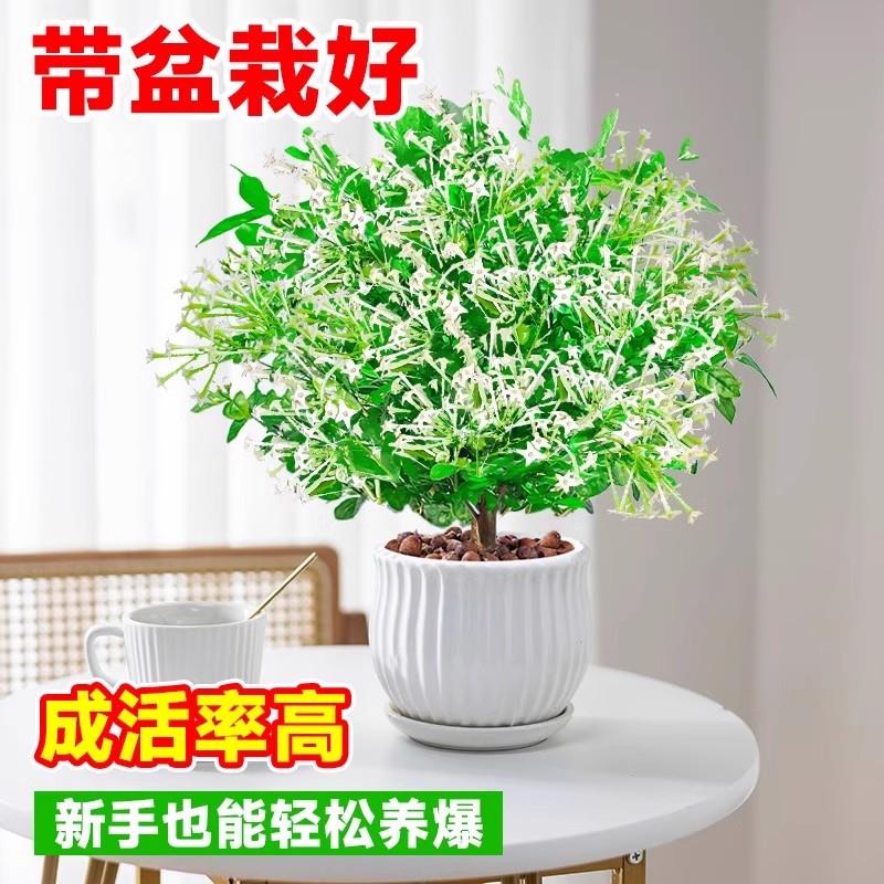默默与脉脉区别：职场社交平台谁更香？