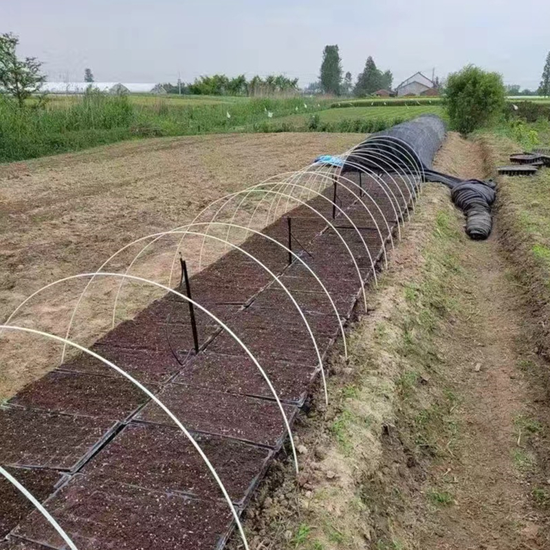 拱棚支架玻璃纤维搭棚纤维杆：蔬菜弓子的秘密武器，防虫秧苗的守护神！