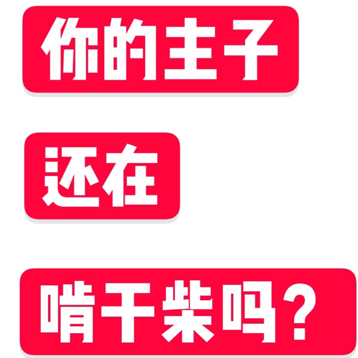 新鲜木天蓼棒+水杨桃枝条：猫咪磨牙新宠，解闷神器，快来get！