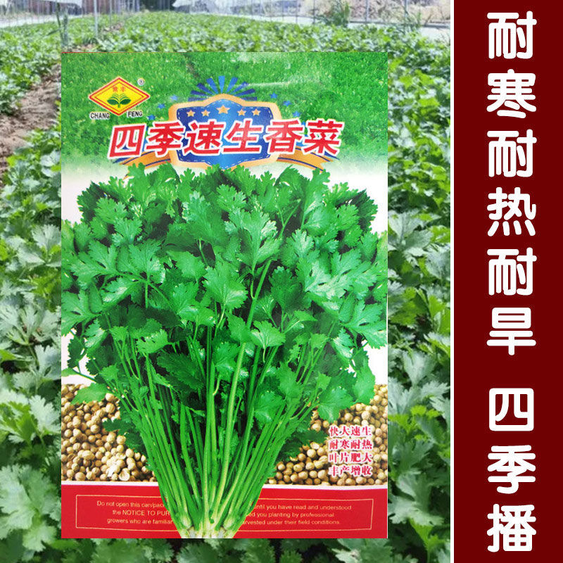 百亿补贴500：真香还是智商税？看完这篇我直接笑出声！