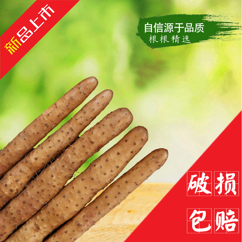 新手盒子大揭秘！网易有爱如何成为游戏小白的救星？