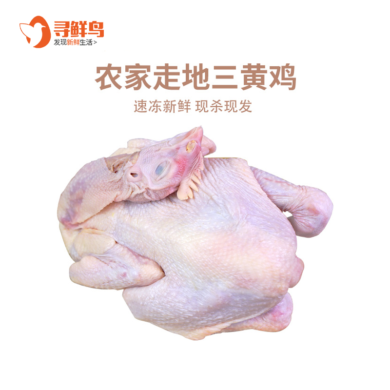三黄童子鸡：农家散养，顺丰冷链，鲜嫩滋味，一口难忘！