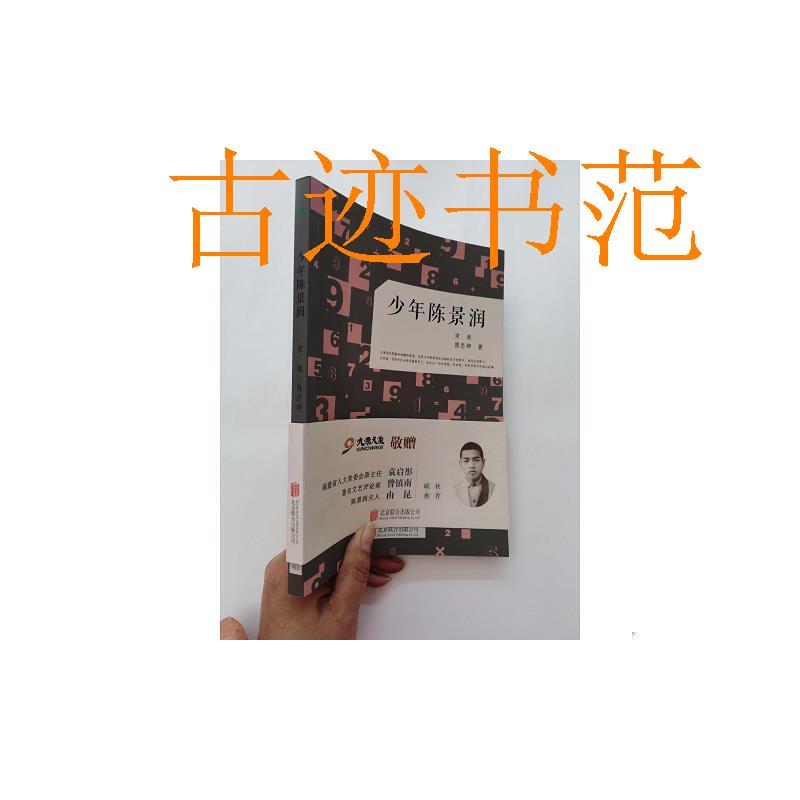 少年陈景润：北京联合出版公司正版二手书，数学天才的成长之路