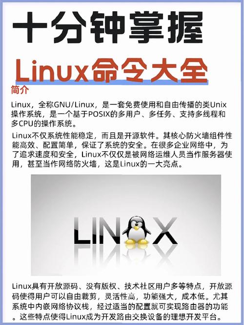 linux开机启动项,Linux系统开机启动项详解