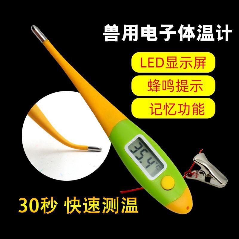 兽用电子体温温度计：给宠物最温柔的关怀，精准守护它们的健康！