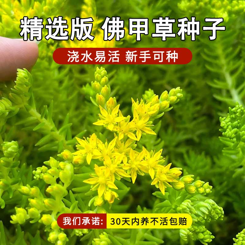黄金价格多少钱一克？最新行情曝光，别再被坑了！