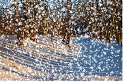 Snowy Desktop 3D2.10