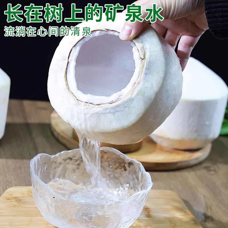 当季新鲜椰子海南特产椰青9个装，孕妇最爱的天然甜品！