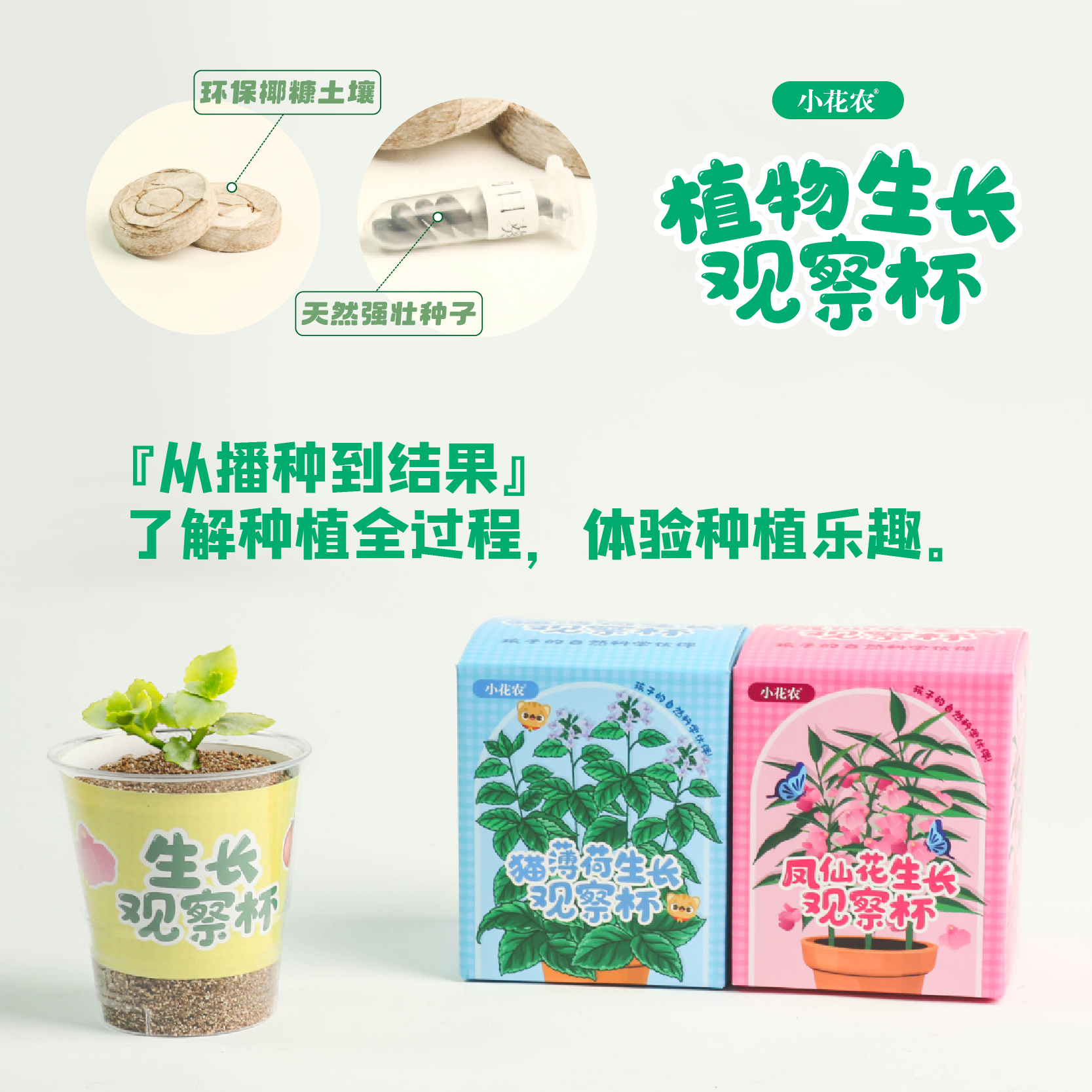 儿童种植小盆栽：幼儿园学生变身小花农，观察植物生长的秘密！