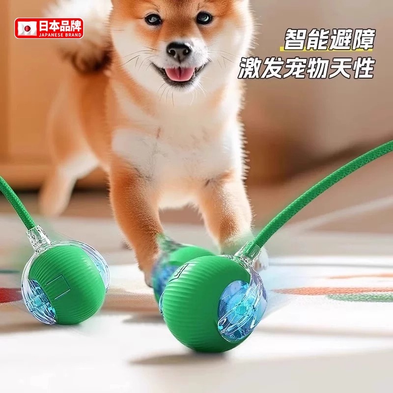 去有风的地方许红豆同款玩具狗，刘亦菲同款电子狗，遛狗神器来啦！