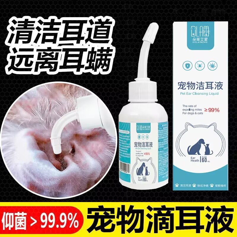 上海宠物家庭寄养| 宠物猫猫代养专家 | 可接送 | 长短期托管 | 一猫一舍，爱宠的温馨小窝