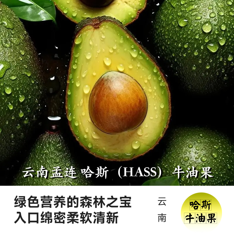 越南牛油果：当季新鲜，圆润大果，解锁健康美味新方式！✨