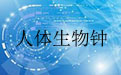 人体生物钟2.04