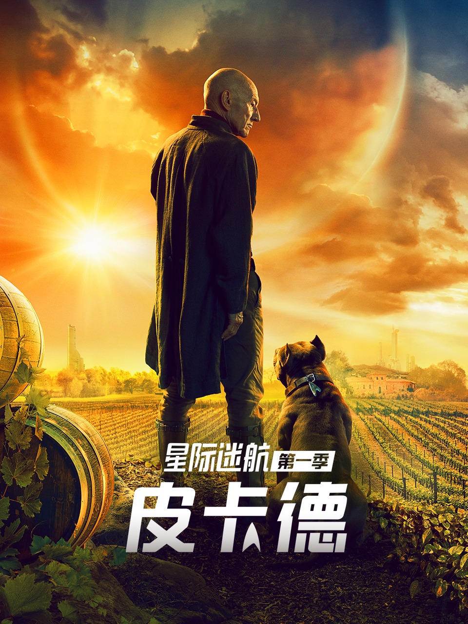 星际迷航皮卡德 1