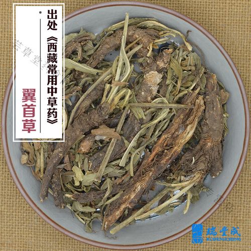 翼首草的功效与作用,龙须草的功效与作用及食用方法