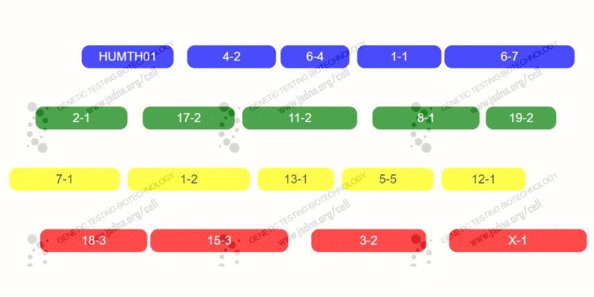 python中str的用法举例, 什么是str类型