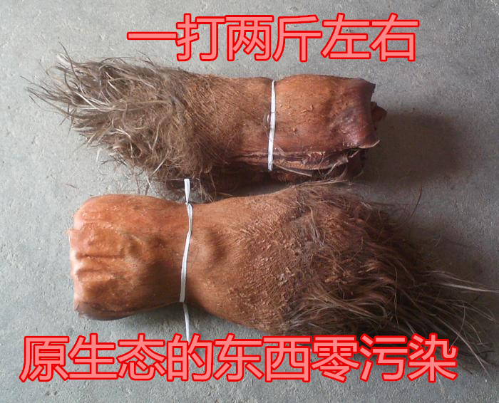 棕榈皮复古家居：穿越时空的自然之美，绿萝棒棕衣引领家居新潮流！