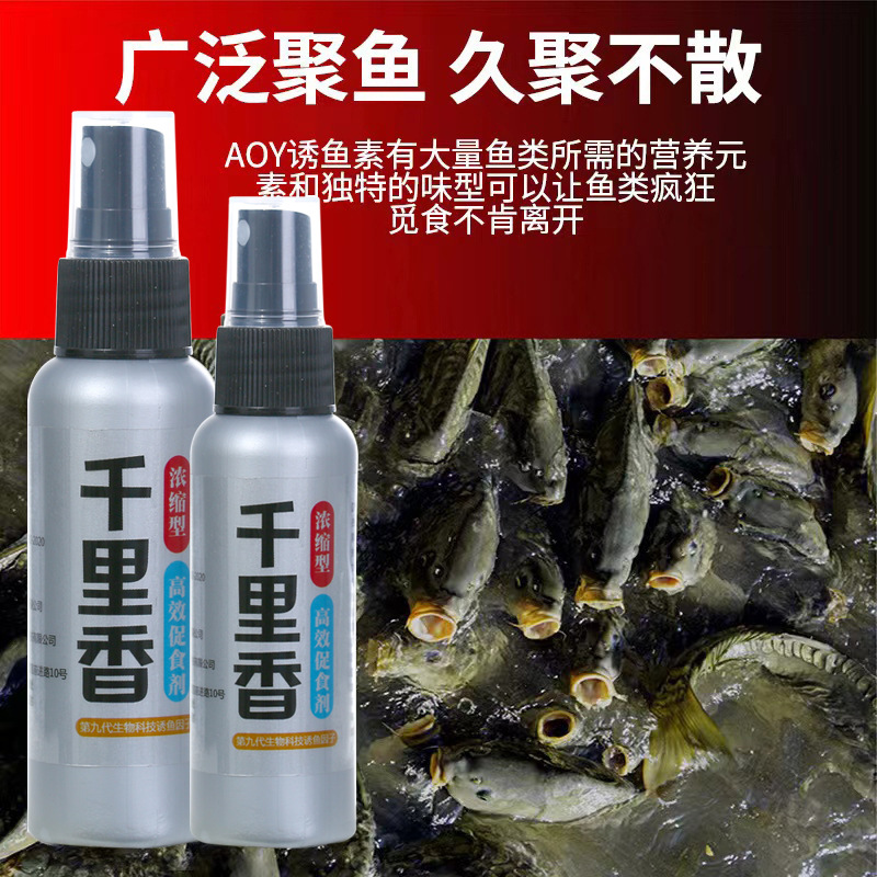 野钓黑坑狂钓巨物鱼饵料攻略：鲢鳙鲤鱼草鱼台钓竞技小药诱鱼开口粉全解析