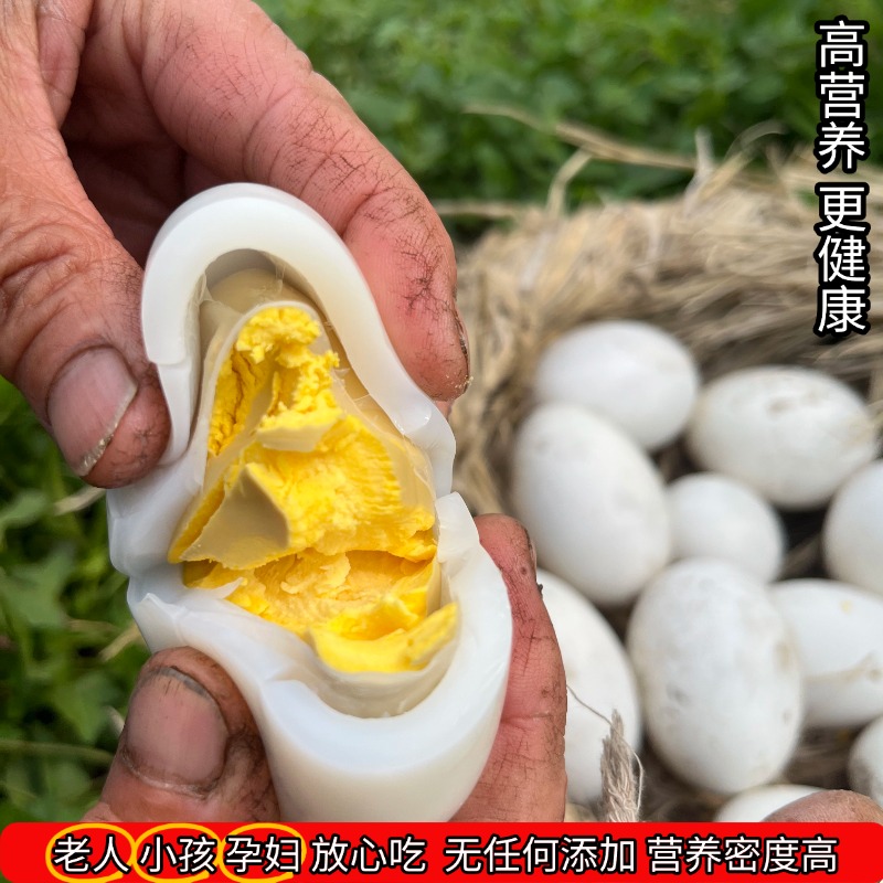 东北农家散养大笨鹅蛋：孕妇去胎毒神器，生鲜鹅蛋12枚特大精选！