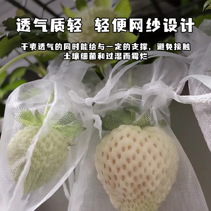石榴袋专用套袋，露天防水防晒防虫的秘密武器！