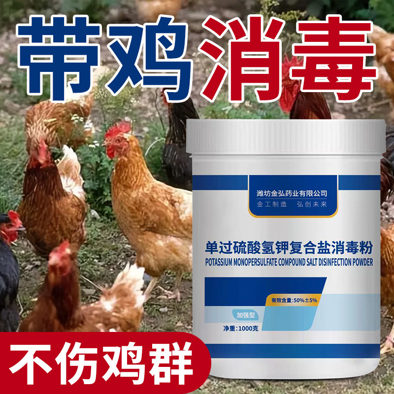 鸡圈消毒液大揭秘：过硫酸氢钾消毒剂，养殖场专用鸡鸭消毒水，如何守护鸡舍健康?