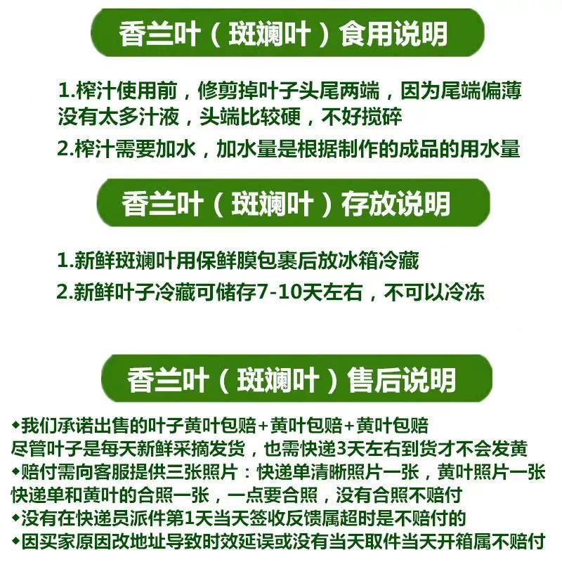 斑斓叶香兰叶：海南广西双仓发货，解锁斑斓叶的新鲜魅力！